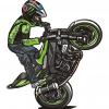 DIPSY